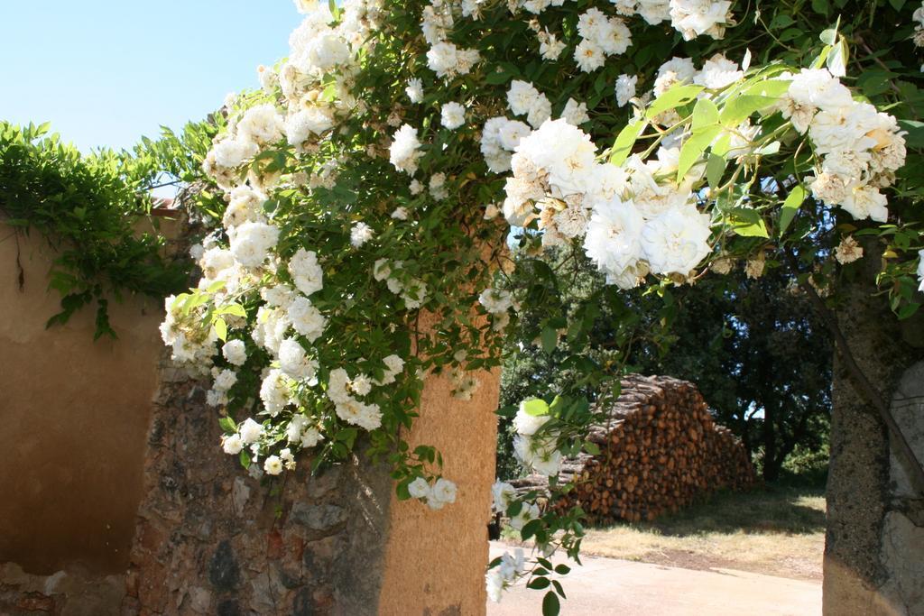 Domaine De La Blaque - B&B Varages Buitenkant foto