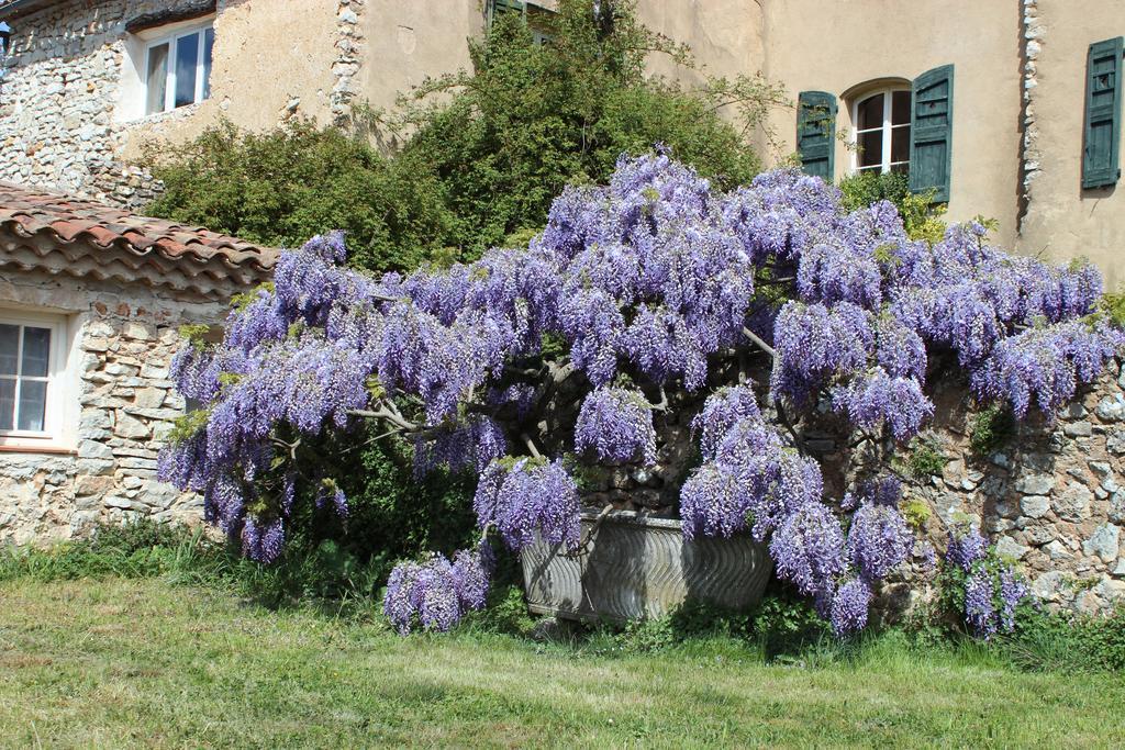Domaine De La Blaque - B&B Varages Buitenkant foto